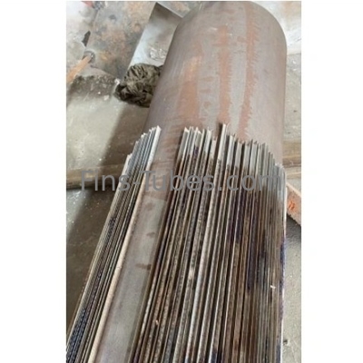 DELLOK ASTM A106 Seamless Steel Längsflossenröhre